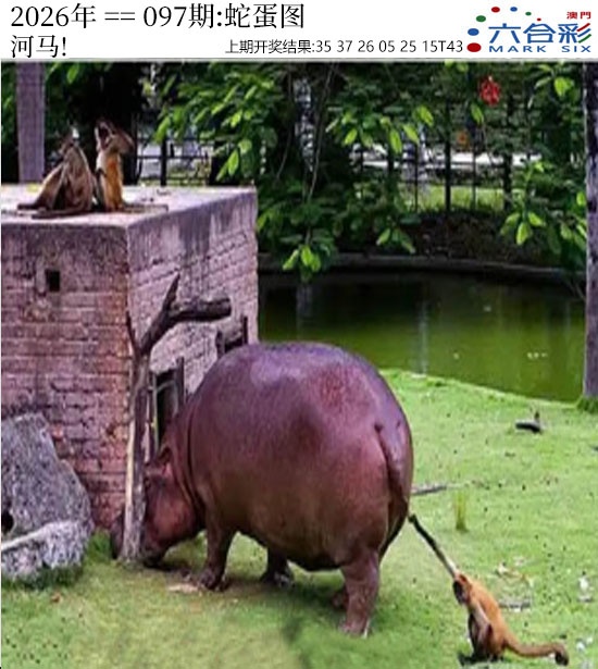 097期正版蛇蛋图[图]